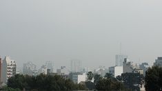El viento norte desplazará el humo hacia la zona del AMBA. El viento norte desplazará el humo hacia la zona del AMBA.