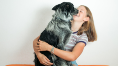 Conocé cuáles son las Mascotas más celosas Conocé cuáles son las Mascotas más celosas