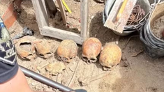 Hasta el momento se encontraron 12 cráneos humanos. Hasta el momento se encontraron 12 cráneos humanos.