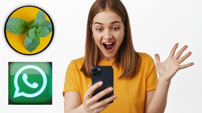 Qué es y cómo activar el modo menta de WhatsApp.