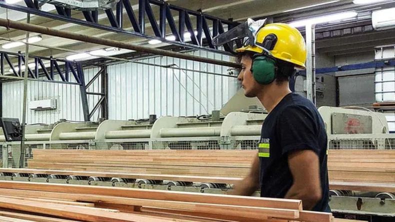 La actividad económica cayó 0