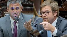 Martín Menem y Nicolás Massot.