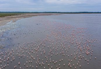 La impresionante laguna para conocer en Córdoba.