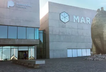 C5N | Museo MAR Mar del Plata Arte Contemporáneo