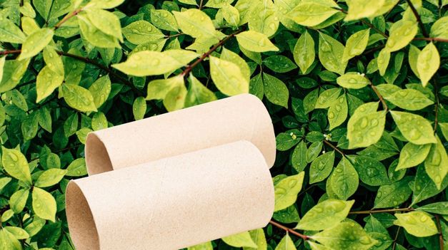 Un jardinero ha compartido en Tiktok un consejo innovador y económico que está captando la atención de muchos entusiastas de la jardinería: utilizar rollos de papel higiénico viejos para iniciar un huerto.&nbsp;