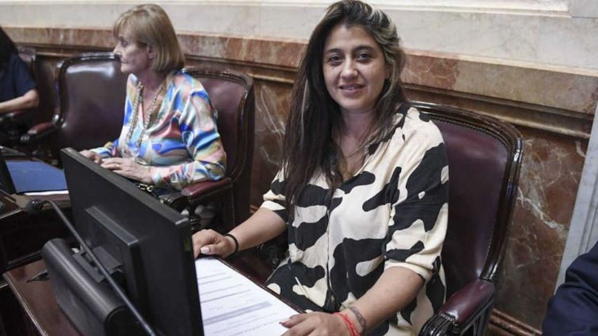 La senadora Natalia Gadano rechazó los cambios en el régimen de Zona Fría: "El gas es una necesidad"