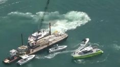 Tragedia en Miami: según un especialista, alguno de los dos conductores no prestaba atención Tragedia en Miami: según un especialista, alguno de los dos conductores no prestaba atención