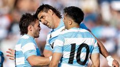 Los Pumas necesitan combinar una serie de resultados para llevarse el campeonato. Los Pumas necesitan combinar una serie de resultados para llevarse el campeonato.