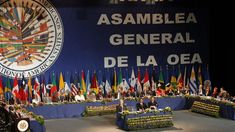 La OEA realizó un llamado a asamblea. La OEA realizó un llamado a asamblea.