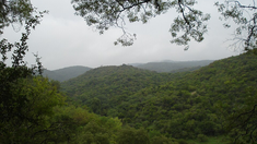 Los Manantiales, un refugio natural ideal para el verano en Córdoba. Los Manantiales, un refugio natural ideal para el verano en Córdoba.