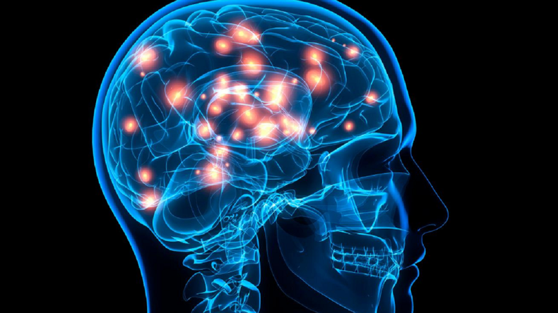 La ELA afecta al cerebro.