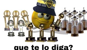 Los hinchas de Boca celebraron la consagración a través de las redes sociales.