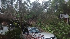 Un temporal azotó a Bahía Blanca. Un temporal azotó a Bahía Blanca.