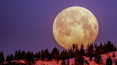 Este fenómeno genera un brillo extra en el satélite de la Tierra, por lo que se la puede observar como crece su tamaño. Este fenómeno genera un brillo extra en el satélite de la Tierra, por lo que se la puede observar como crece su tamaño.