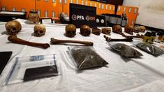 La Policía investiga si no se trata de una red de comercialización de restos para rituales. La Policía investiga si no se trata de una red de comercialización de restos para rituales.