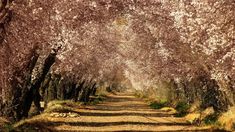 Una de las tantas postales que ofrece este hermoso pueblito de Mendoza. Una de las tantas postales que ofrece este hermoso pueblito de Mendoza.