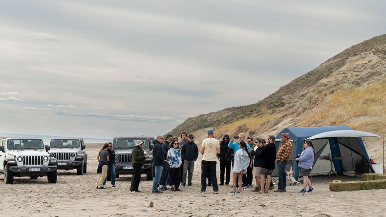 Inicio de la actividad junto a los ambientalistas en las playas de Península Valdés.