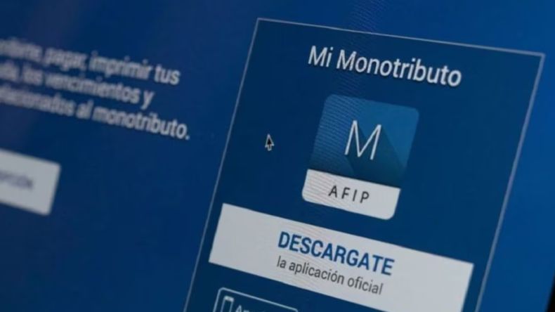 Si sos monotributistas, así podés consultar los aportes en ANSES.