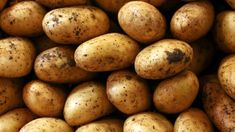 Inflación de julio: cuáles fueron los alimentos que más aumentaron Inflación de julio: cuáles fueron los alimentos que más aumentaron