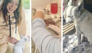 La actriz se mostró angustiada en sus redes sociales por la salud de sus perros Benito y Tina. La actriz se mostró angustiada en sus redes sociales por la salud de sus perros Benito y Tina.