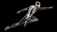 Según la Universidad de Harvard hay un fruto seco que ayuda al fortalecimiento de los huesos del cuerpo humano.