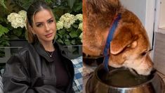 El perro que la China Suárez había rescatado habría muerto electrocutado, según Yanina Latorre. El perro que la China Suárez había rescatado habría muerto electrocutado, según Yanina Latorre.