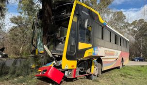 Así quedó el colectivo de la línea 202 que no logró esquivar el Ford Ka en Berisso.