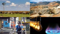 Sectores primarios marcan el rumbo del crecimiento económico. Sectores primarios marcan el rumbo del crecimiento económico.