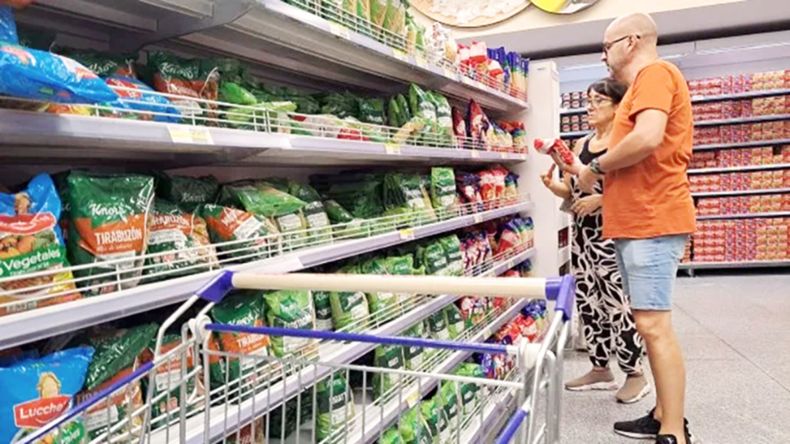 Inflación: en marzo una familia tipo necesitó $1.100.266
