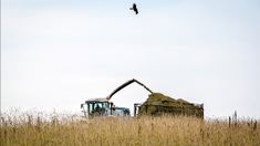 El Gobierno espera que ingresen u$s5.000 millones.