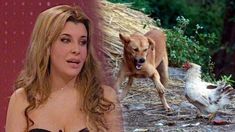 ¿Charlotte, bruja? Corríamos a la gallina con el perro ¿Charlotte, bruja? Corríamos a la gallina con el perro