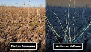 Esta tecnología introduce unas posibilidades antes imposibles, proporcionando perfiles fenotípicos detallados de cada cepa en un viñedo con una eficiencia y precisión nunca antes posible.