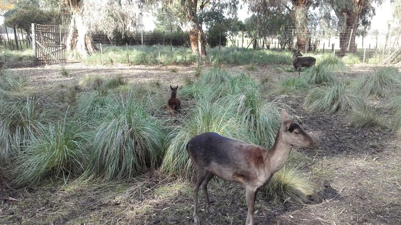 La reserva natural del partido de Olavarría