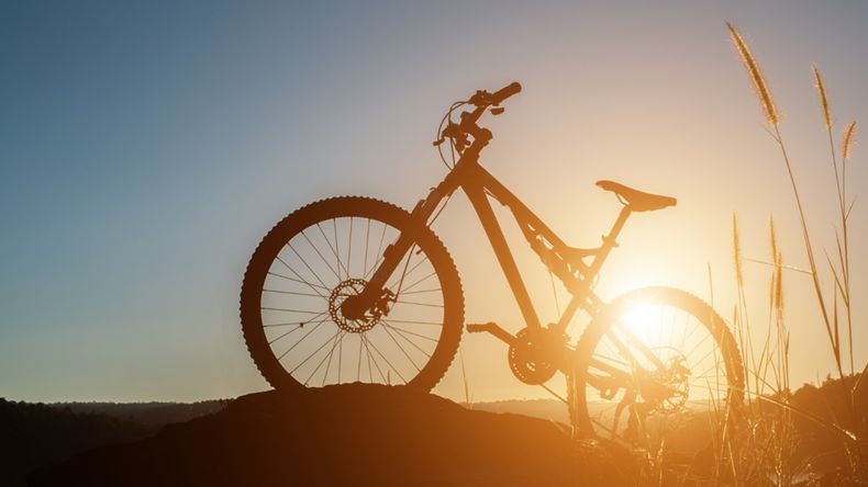 Cuánto sale una bicicleta mountain bike rodado 29 en mayo 2024.