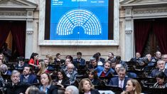 La oposición avanza sobre un proyecto que es incómodo para el Gobierno. La oposición avanza sobre un proyecto que es incómodo para el Gobierno.