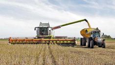 Milei anunció en La Rural una baja permanente de las retenciones.&nbsp;&nbsp;