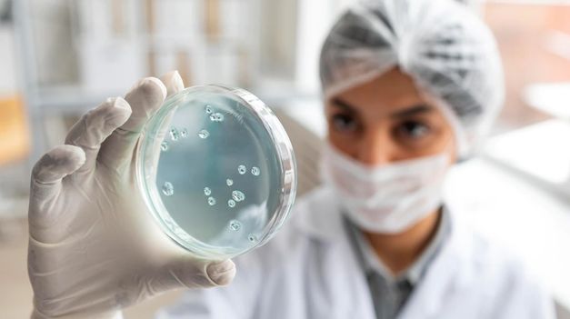 Qué son Shigella y Salmonella, las bacterias en las carnes y achuras que mataron a dos hombres