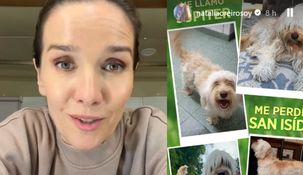 La actriz recurrió a sus seguidores para buscar a su mascota. La actriz recurrió a sus seguidores para buscar a su mascota.