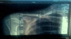 Rubia en decadencia hace pis en el mar; la griega quedó rota; y la furia de una mujer Rubia en decadencia hace pis en el mar; la griega quedó rota; y la furia de una mujer