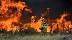 Cerca de 100 personas trabajaron para combatir el fuego que incineró más de 80 mil hectáreas. Cerca de 100 personas trabajaron para combatir el fuego que incineró más de 80 mil hectáreas.