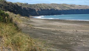 Este tesoro natural está situado específicamente en el Golfo San Matías, a aproximadamente 130 kilómetros de Viedma.