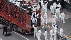 Autoridades dicen que el virus está bajo control en algunas zonas. Autoridades dicen que el virus está bajo control en algunas zonas.