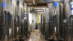 estados unidos: preservan 200 cuerpos congelados para poder ser revividos en el futuro