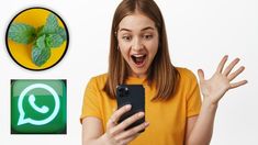 Qué es y cómo activar el modo menta de WhatsApp. Qué es y cómo activar el modo menta de WhatsApp.