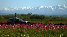Google Maps incorporó a más de 150 prestadores de todo el país. Google Maps incorporó a más de 150 prestadores de todo el país.