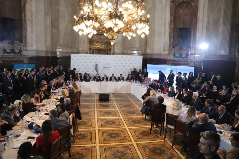 El Senado cada vez más lejos de sancionar la Ley Bases antes del Pacto de Mayo