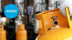 ANSES explicó cómo saber si cobro el Programa Hogar en noviembre. ANSES explicó cómo saber si cobro el Programa Hogar en noviembre.