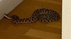 La imagen que aterró a los rosarinos. La imagen que aterró a los rosarinos.