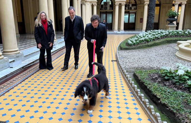 Javier Milei se tomó un respiro de la interna oficialista y sacó a pasear a Thor