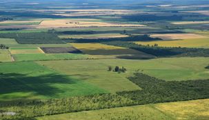 La justicia federal reafirmó la vigencia del artículo del DNU que deroga la Ley de Tierras